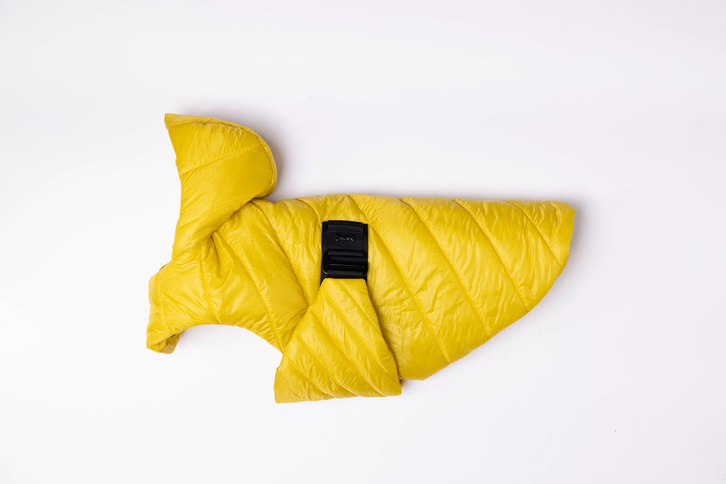 iddu dog Mantel Nr. 01 in Sonnengelb