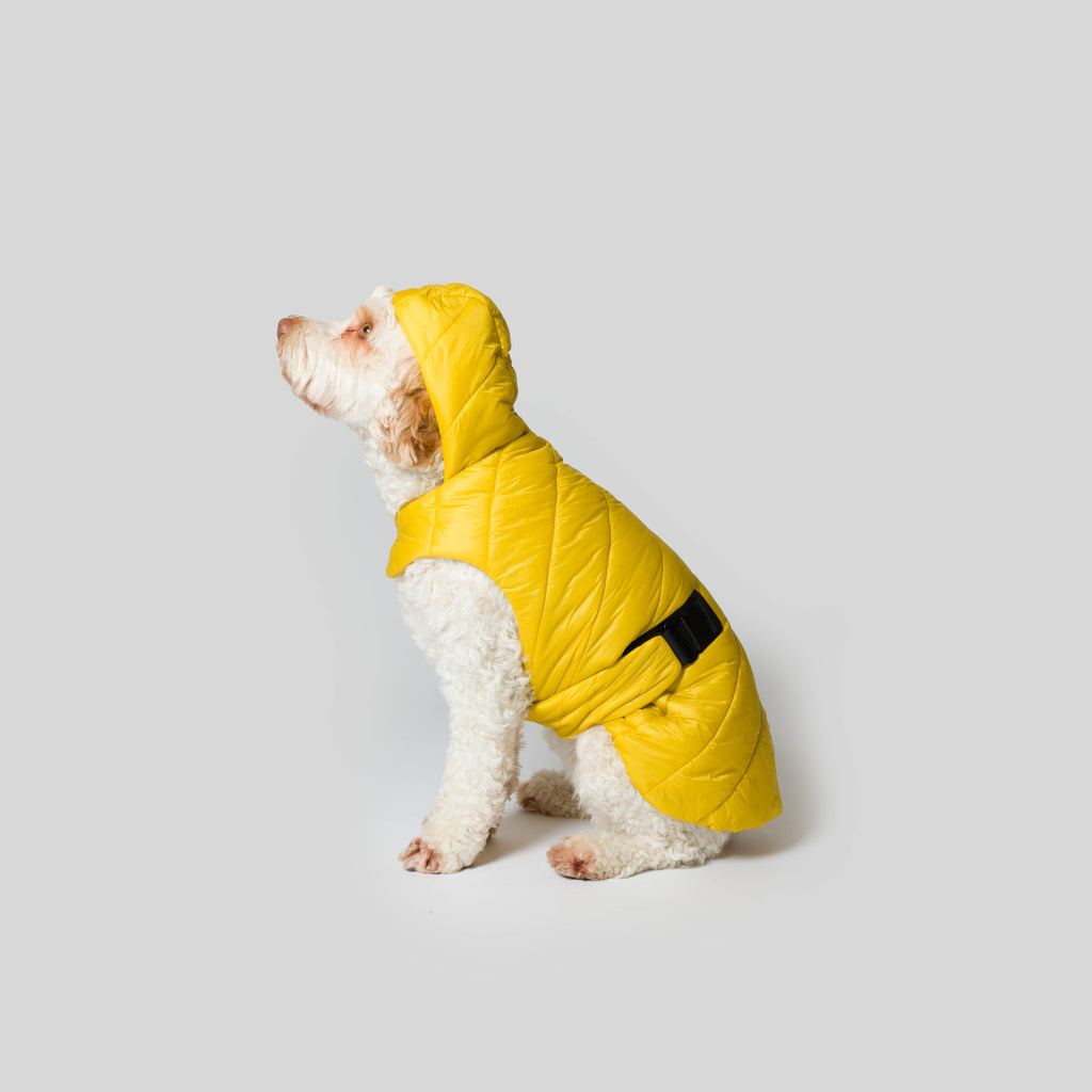 iddu dog Mantel Nr. 01 in Sonnengelb