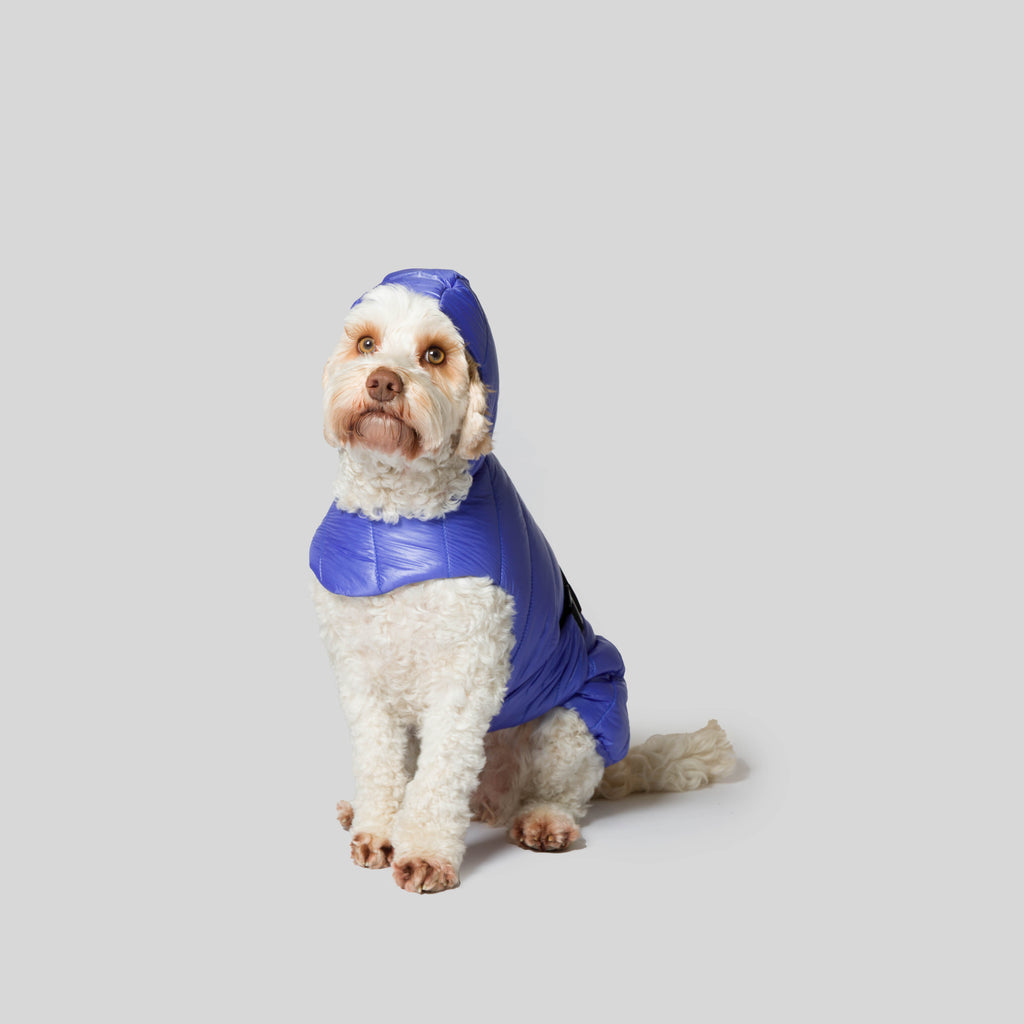 iddu dog Mantel Nr. 01 in Königsblau