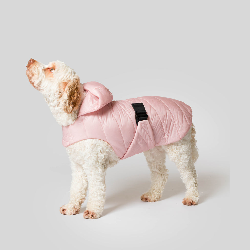 iddu dog Mantel Nr. 01 in Candy Pink