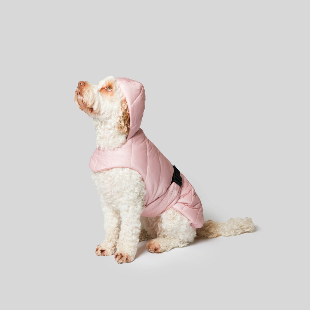 iddu dog Mantel Nr. 01 in Candy Pink