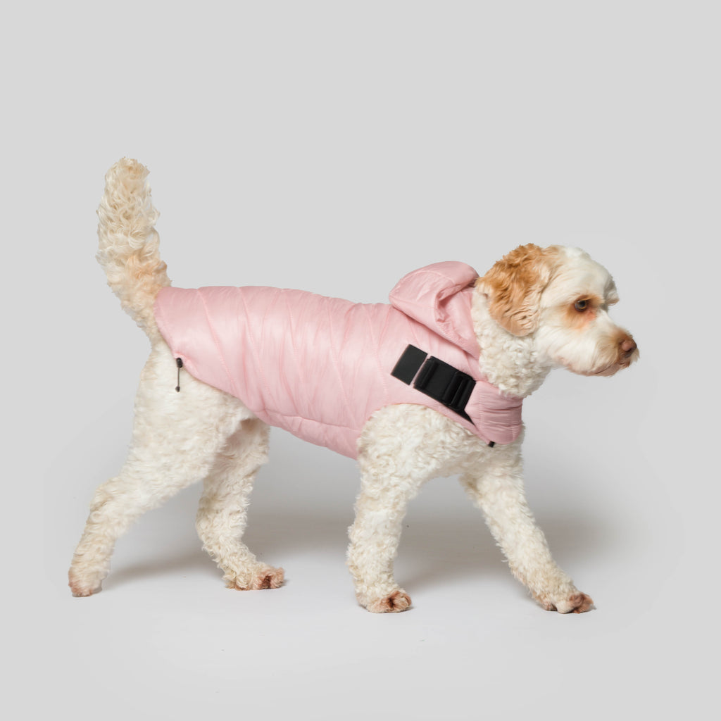 iddu dog Mantel Nr. 01 in Candy Pink