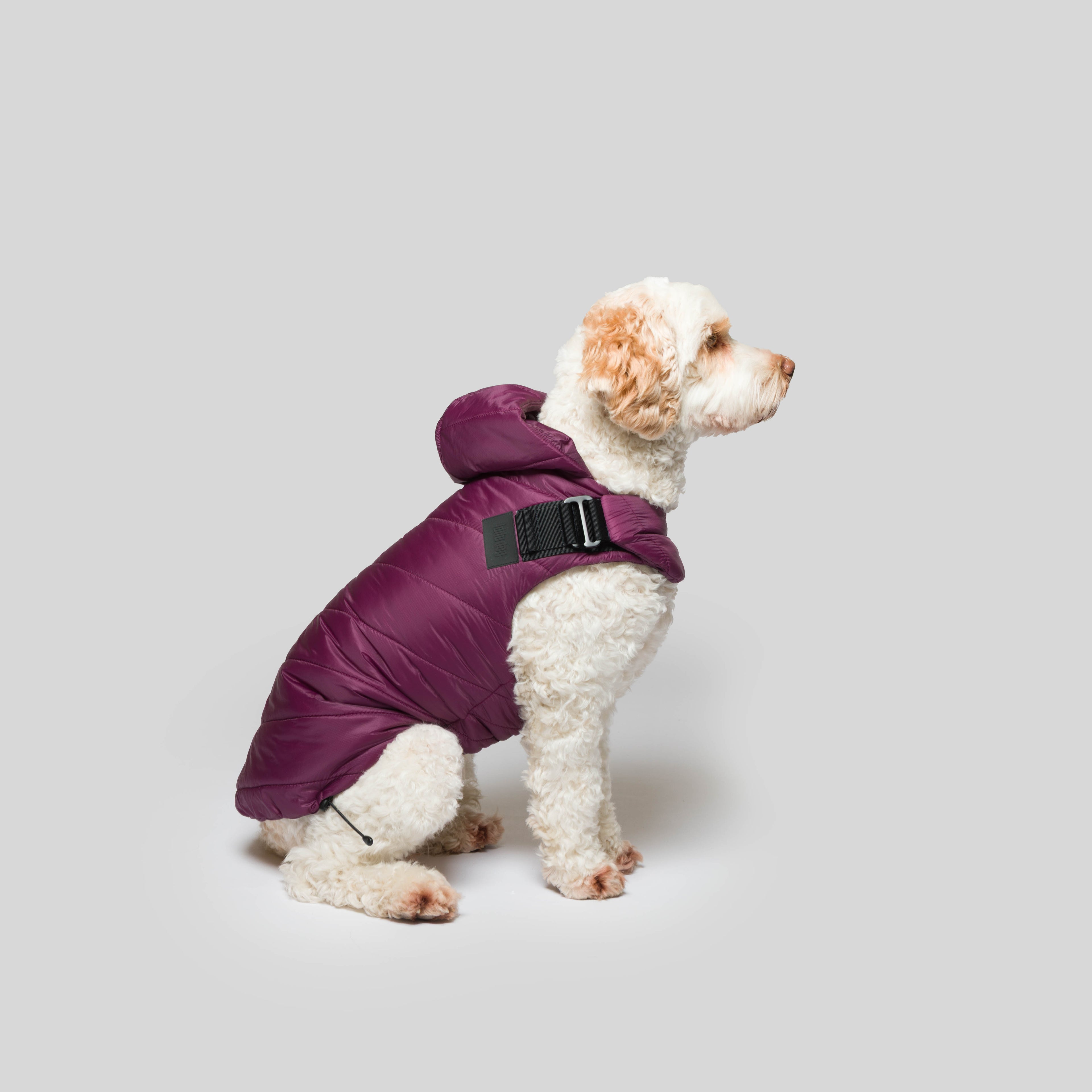 dog gear mantel iddu dog Mantel Nr. 01 , in Aubergine