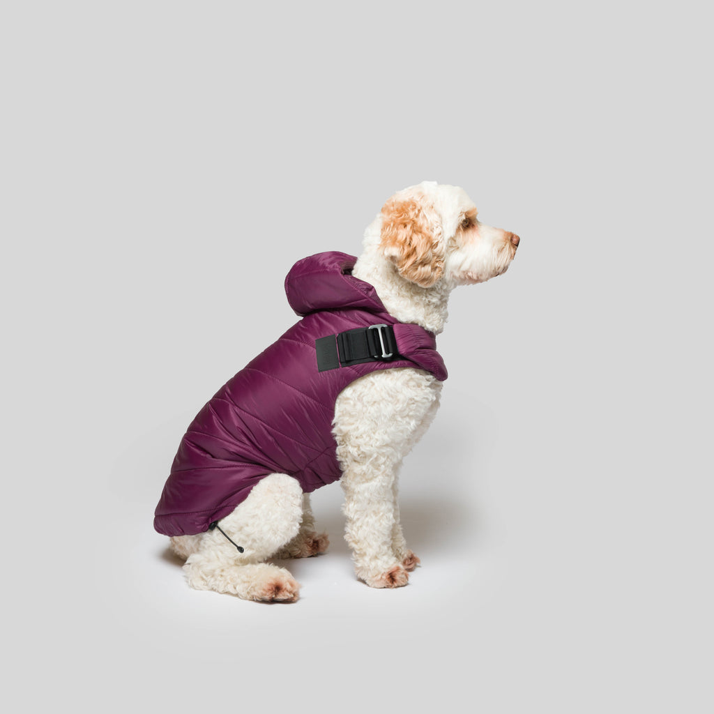 iddu dog Mantel Nr. 01 in Aubergine