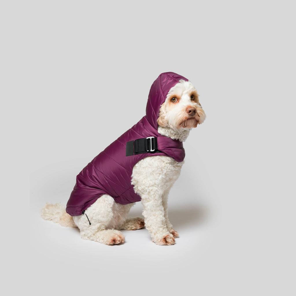 iddu dog Mantel Nr. 01 in Aubergine