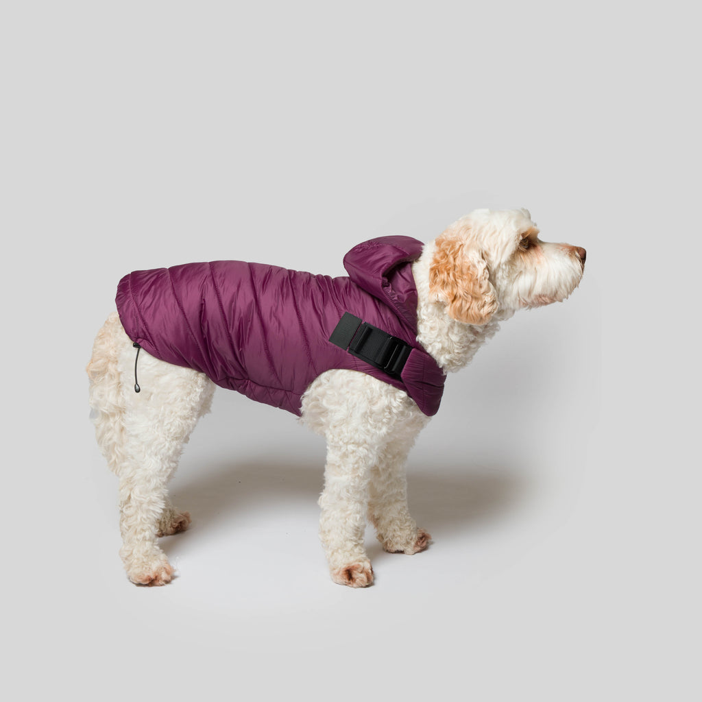 iddu dog Mantel Nr. 01 in Aubergine